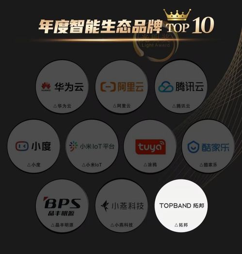 踔厉奋发,奋楫争先 年度智能生态品牌,t smart正出发